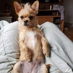 Liz Schaeffer - @lizzie127_ - Instagram
