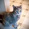 LIZ SCHAEFFER - @lizschaeffer14 - TikTok