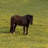 lizschaeffer - @liz46873 - TikTok