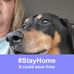 Liz Schmidt - Facebook