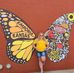 Liz Schmidt - Facebook