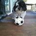 Elizabeth Seitz - Facebook