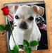 Liz Seitz - Facebook