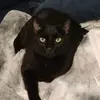 Liz Sharp - @liz.sharp2 - TikTok