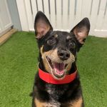 Liz Shields - @shields1940 - Instagram