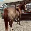 Lizshields89 - @lizshields89 - TikTok