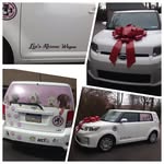 Liz Shockley - @lizsrescuewagon - Instagram