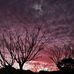 Liz Simon Severino - Facebook