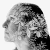 Elizabeth Singleton - @lizsingleton - TikTok