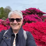 Liz Singleton - @liz.singleton60 - Instagram