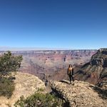 Liz Stout - @lizstout - Instagram
