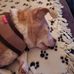 Liz Stover - Facebook