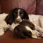 Liz Talbot - @mdlizzyt - Instagram