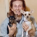 Liz Weaver - @elizweaver - Instagram