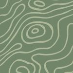 Lizzy Whaley - @graphic_artista - Instagram