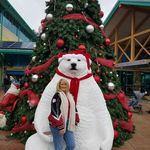 Liz Scoggins Witt - @spra2572 - Instagram