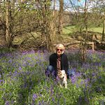 Liza Abbott - @abbottliza - Instagram