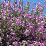 Liza Gordon Altman - @liza_altman2016 - Instagram