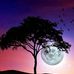 Liza Blanco - Facebook
