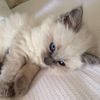 Liza Carter - @liza_carter_9 - TikTok