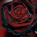 Liza Cullen - Facebook