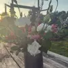 eliza goodwin - @eliza.good1 - TikTok