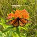 Liza Goodwin - Facebook