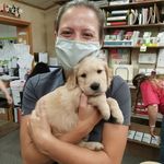 Dr. Lisa Jones - @lisa.jones.dvm - Instagram