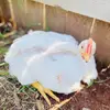 liz.a.jones0917 - @lizajones0917 - TikTok