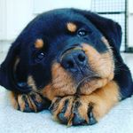 Liza Key - @lizakey2008 - Instagram
