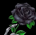 Lisa Lowe - Facebook