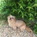 Liza Marshall - Facebook