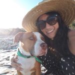 Lisa Norman - @risanorman - Instagram