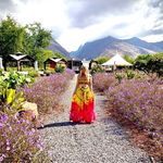 Liza - @liza_powers3 - Instagram
