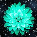 lizarose - @liza_savage_girl - Instagram