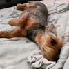 Liza Smiley - @liza_smiley - TikTok