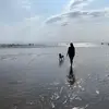 Lisa Walden310 - @lisawalden310 - TikTok