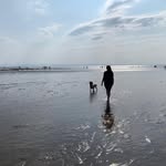 Lisa Walden - @lisalisa_walden - Instagram