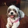 LIza Wall - @liza.wall1 - TikTok