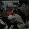 Lizbeth Diaz - @lizbeth.diaz177 - TikTok