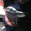 lizbethquezada5 - @lizbethquezada5 - TikTok