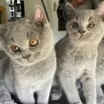 Lizbeth Da Silva - @lizbethschmidt3 - Instagram