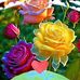 Lizet Carrillo - Facebook