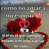lizet lopez - @wwwtiktokconlizetlopez - TikTok