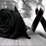 Lizeth Bravo - Facebook