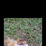 Lizeth Bravo - Facebook