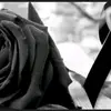 Lizeth rojas - @lizethrojas226 - TikTok