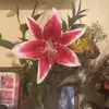 lizethrojas027 - @lizethrojas027 - TikTok