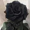 Lizeth Ulloa195 - @lizethulloa1979 - TikTok