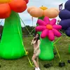 lizethvences11 - @lizethvences11 - TikTok